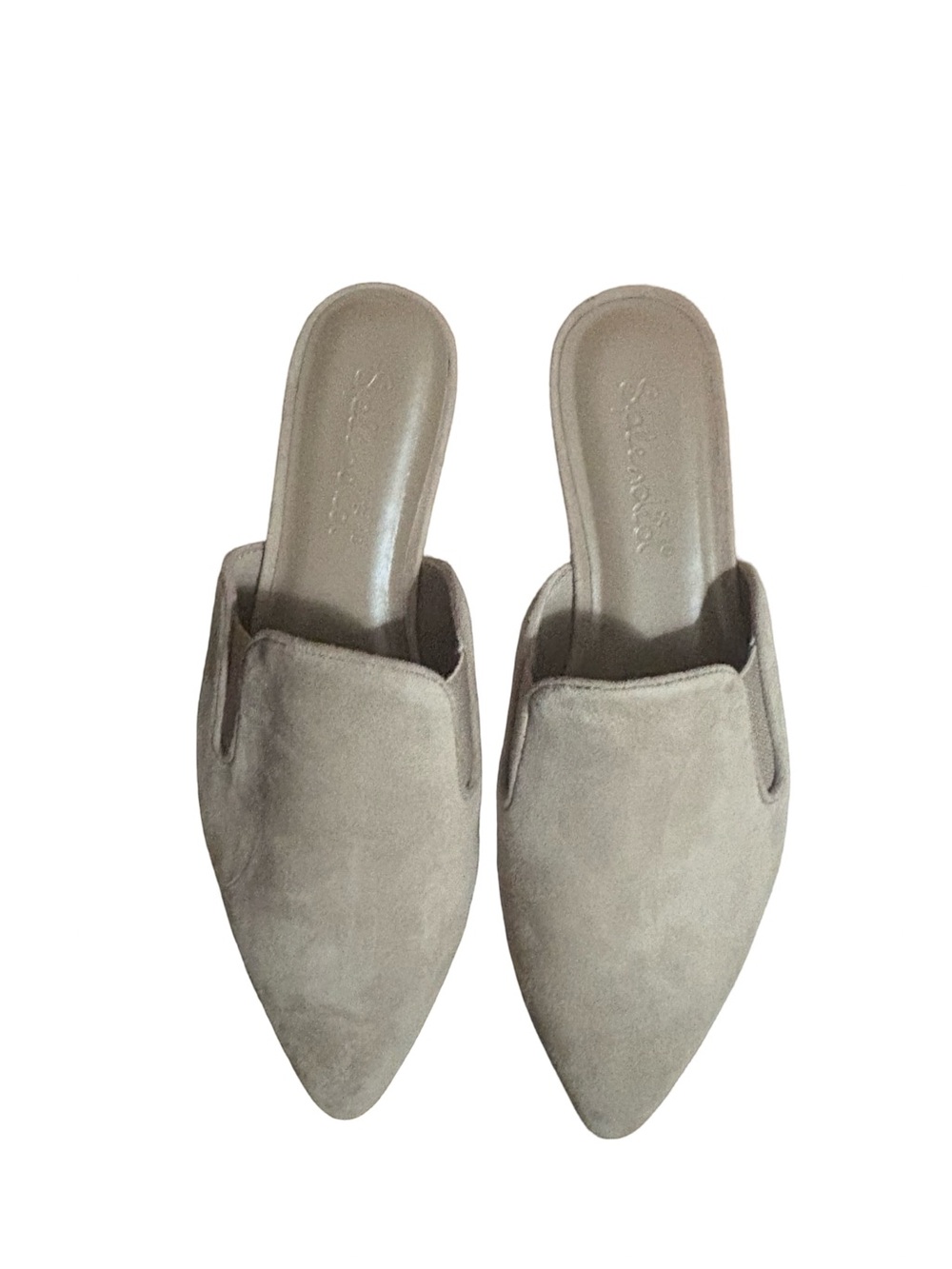 Splendid Taupe Suede Pointed-Toe Mule Slides - Women